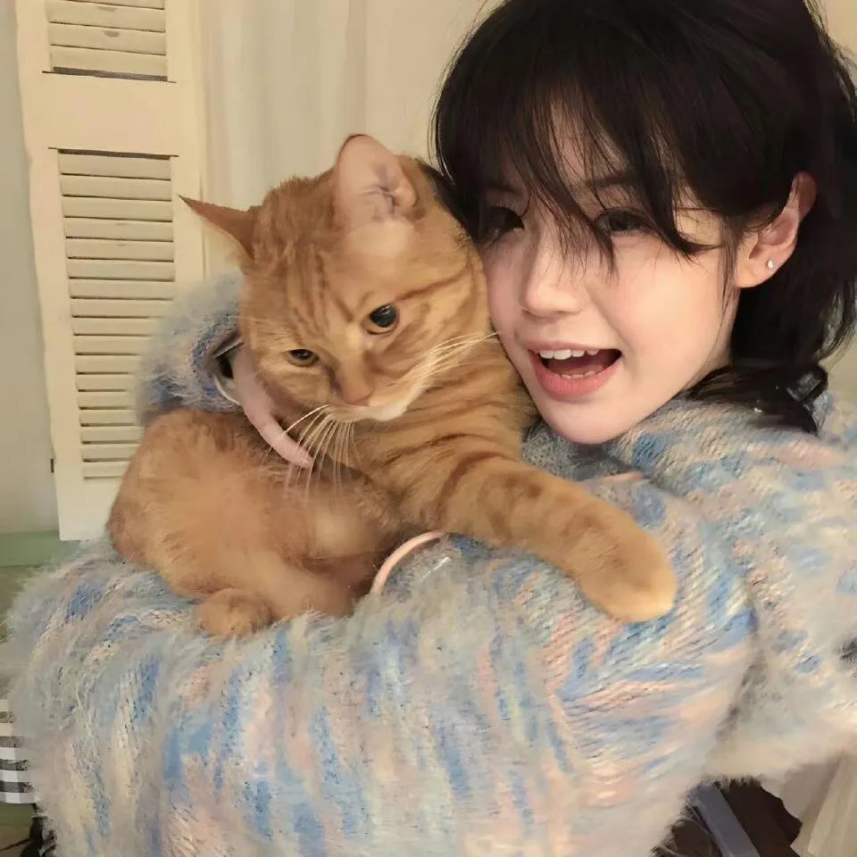猎魔人：老鼠盗贼团